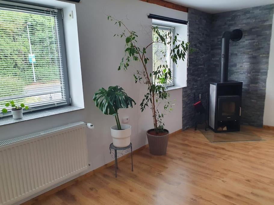 Kornhaus - Schoene Ferienwohnung Mit Pool, Kamin Und Terrasse Göttingen Eksteriør bilde